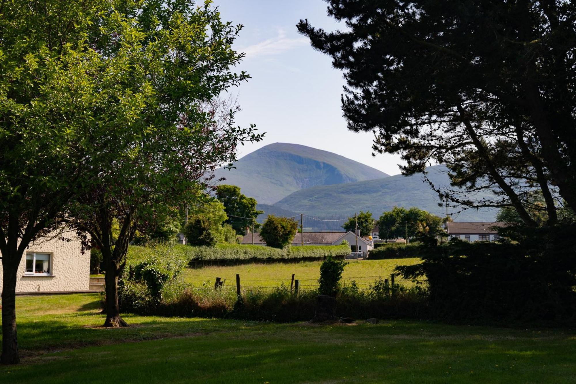 The Briers Country House ニューカッスル エクステリア 写真
